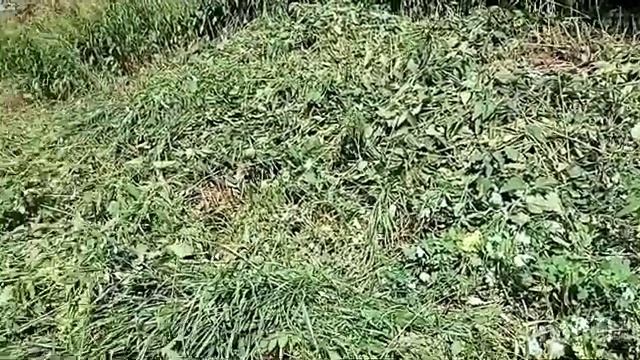 Как живут в русской деревне. Варенье/покрасила будку/домашние дела... смотреть онлайн