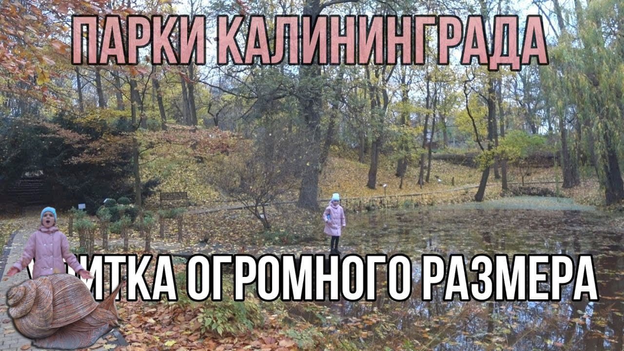 Где спрятан Планетарий / Парки Калининграда осенняя прогулка / Осень Калининград