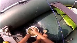 Ловлю рыбу с лодки