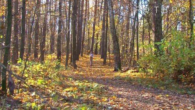 ОСЕННИЙ ЛИСТОК смотреть онлайн