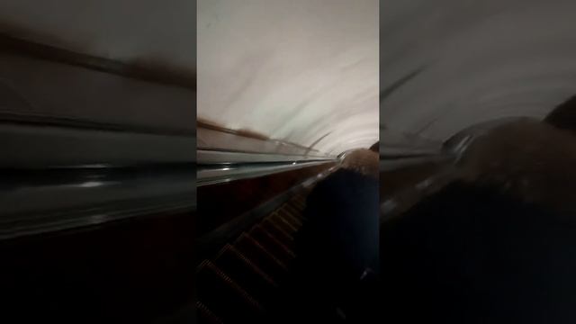 Обзор Станции Метро Алексеевская и Закрытая Рижская смотреть онлайн