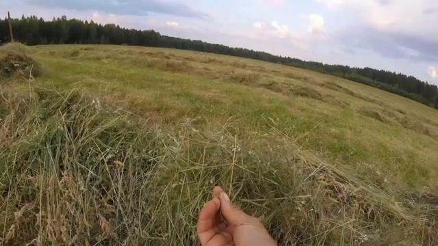 Травяные гранулы как бизнес идея смотреть онлайн