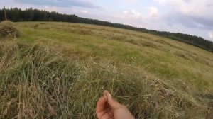 Травяные гранулы как бизнес идея