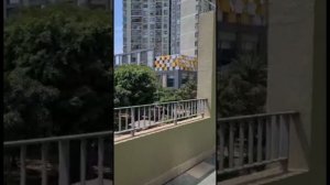 А вот так выглядит двор и зона отдыха в ЖК Maison De Apartment - Masteri Thao Dien, в Хошимине