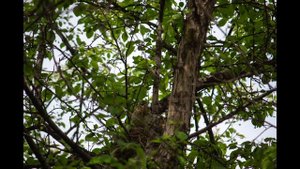 Западная Сибирь июнь 2023г ( фото и видео mikranscha)