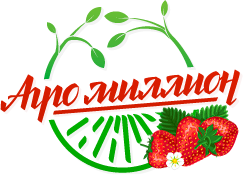 Чистка клубники.первые работы