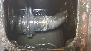 Кратон 440 заморозили .