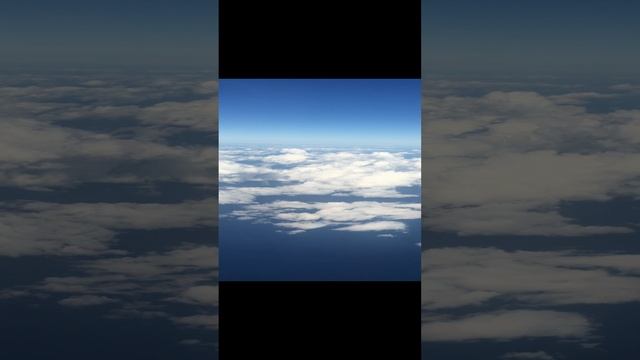 2022-11-14 смотреть онлайн