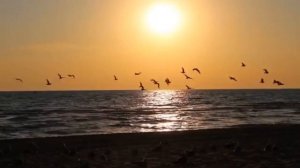 Виктор Горшков "Без тебя". Грустная музыка души. Море и чайки.