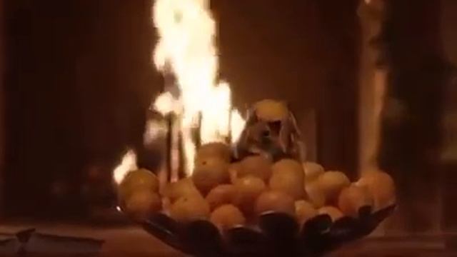 Танцующие мышата.