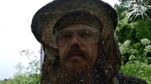 Лучшее средство от комаров и прочих насекомых