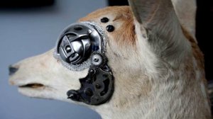SCP-217 Clockwork Virus | object class Keter | Church of the Broken God