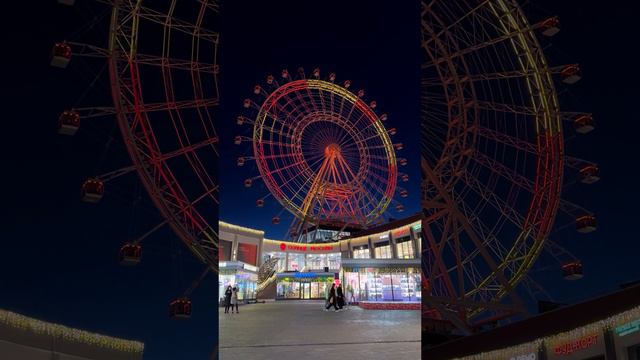 2 года на «Солнце Москвы»