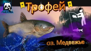 RF4 РАЗМАТЫВАЕТ С ПЕРЕГРЕВОМ ДАЖЕ ОВЕРЛОРД #рр4