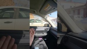 тонировка или каркасные шторки?