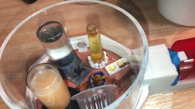 Campontos Fragilis Colony update 1 смотреть онлайн