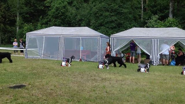 День ризена - 2014: Gloris Lukas смотреть онлайн