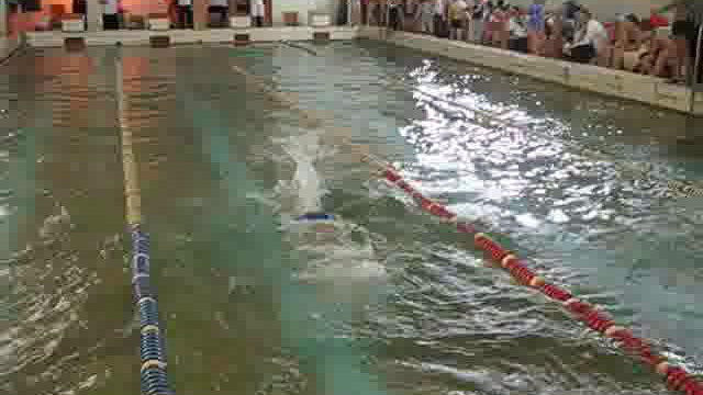 Плавание первенство Луганской области смотреть онлайн