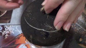 Чем лечить кашель? Сироп от кашля в Домашних условиях. Черная редька с медом