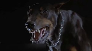 ЕСЛИ ВАША СОБАКА ДЕЛАЕТ ТАК, ЗНАЧИТ ОНА УМИРАЕТ