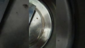 Муравейник в фильтре для воды 365 дней! Рыжие муравьи в квартире в угальном фильме для очистки воды
