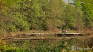 Хьюстон/ Houston/Красивые города, красивая музыка