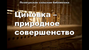 18 июня 2024 г. «Циновка – природное совершенство». Псейтукская СБ