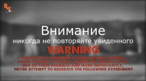 УКУС СКОЛОПЕНДРЫ / УЖАСНАЯ БОЛЬ ОТ УКУСА Brave Wilderness на русском