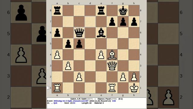 Salem, A R Saleh vs Eljanov, Pavel | MrDodgy Invitational Chess 3 2022, chess24 com смотреть онлайн