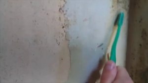 Как удалить плесень за Копейки - 100% РЕЗУЛЬТАТ! Удаление плесени дешёвой БЕЛИЗНОЙ