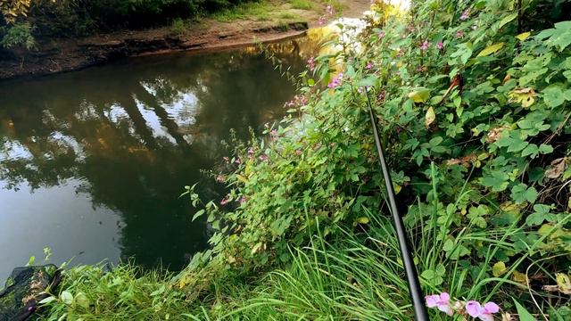 Рыбалка на поплавок, со штекерoм на ручье. смотреть онлайн