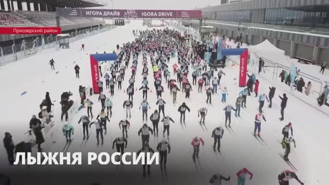 Ленобласть дала старт Всероссийской гонке «Лыжня России-2022»