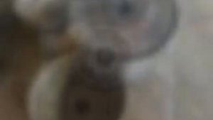 Производство шин низкого давления и дисков под них в Казахстане