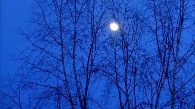 Несуществующая книга | фэнтези аудиокнига | Иннокентий Мамонтов смотреть онлайн