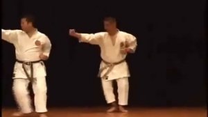 КАРАТЭ  -  ДЗЕСИНМОН СЁРИН - РЮ !!!   ..Jyoshinmon  Happo no kata ura  ...