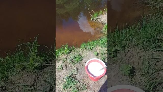 Известкование пруда, повышение Ph,   на поверхности плавает белый Амур