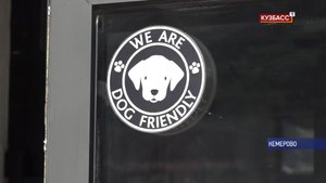 За столик – с домашним любимцем