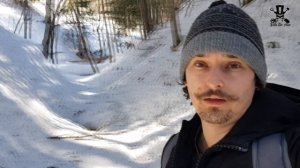 Снял стаю соек. Фотоловушка в лесах Сахалина.