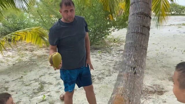 Как достать и разбить кокос с пальмы. Мальдивы | How to get a coconut
