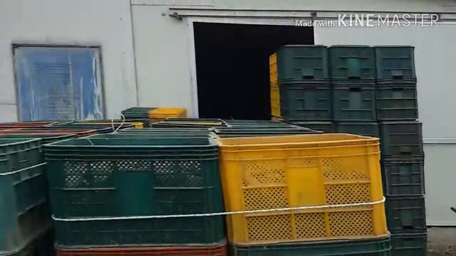 Южная Корея.ч141 смотреть онлайн