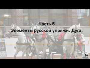 Русская экипажная езда и русская тройка. Выпуск 5