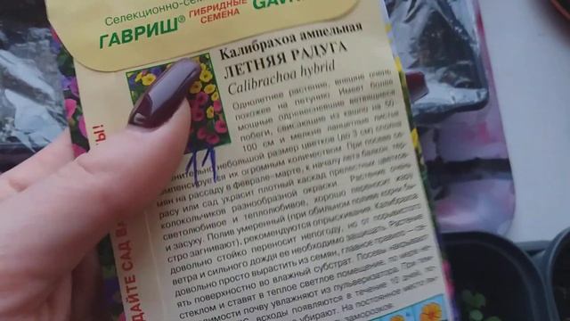 Цветы для балкона(Рассада петунии,лобелии,бархатцев ).Готовлюсь к летнему сезону 2020 г.