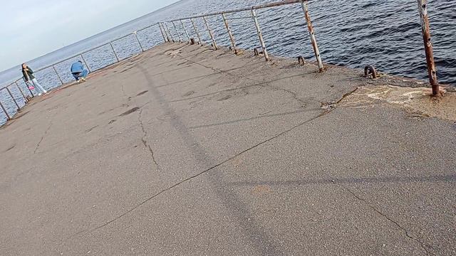 финский залив