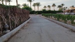 continental plaza beach resort 5_ прогулка по территории отеля и подводный мир местного рифа