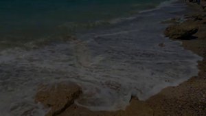 Волшебные звуки саксофона от Наталии Битюцкой