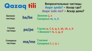 Урок 14. Множественное число. Вопросы. Отрицание. Грамматика казахского языка на латинице.