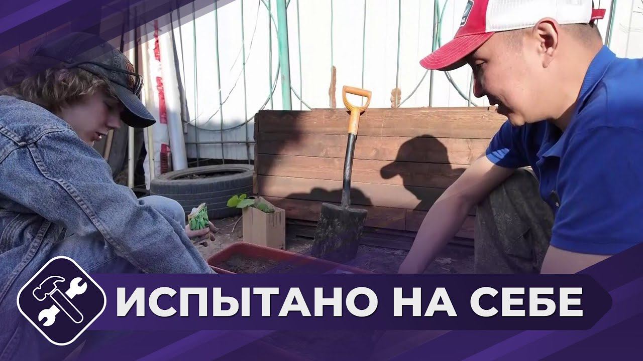 Испытано на себе: Кооперативная теплица