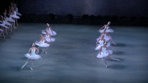 Лебединое озеро фрагмент