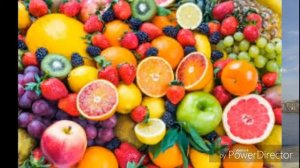 Что можно давать Волнистому попугаю?