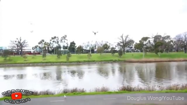 Подборка лучших приколов Февраль 2018 | Повторил смотреть онлайн